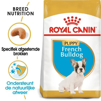 Chiot Taureau Français Rc 1 kg
