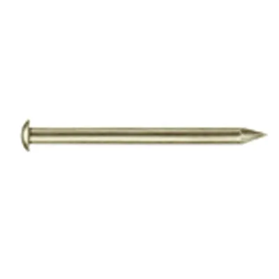 55 Nagels, Vernik. 850100900 1,6 X 25 mm
