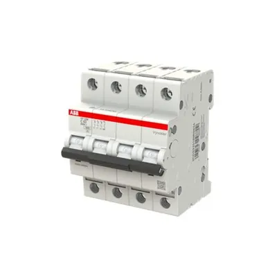 Abb 4p 63a