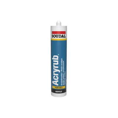 Acryrub Noir 310 ml