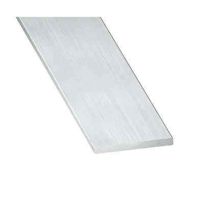 Plat Profiel Alu Brut 20x2mm 2 m