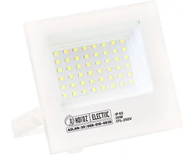 Horoz Aslan-30 Led Floodlight 30w 2700k White