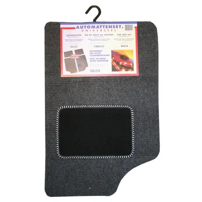 Tapis de Voiture 4dlg Universel