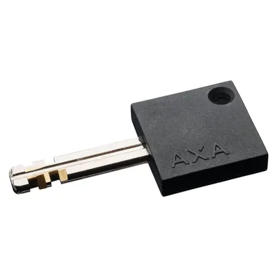 Axa U Lock Newton 230 mm 4