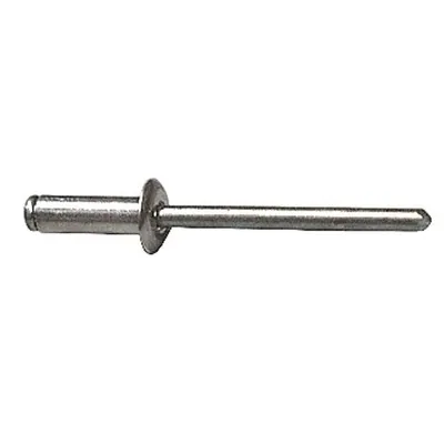 Blind Rivet 110pcs Alu 4x10mm