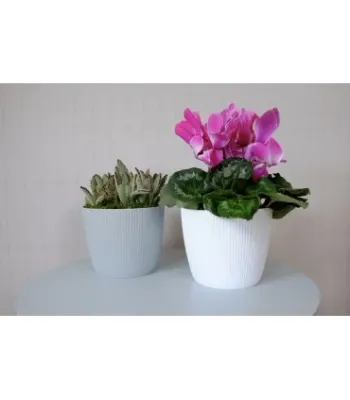 Bloempot D15.5 H13cm Jumper Wit 2