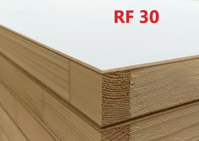 Branddeur Rf30 83