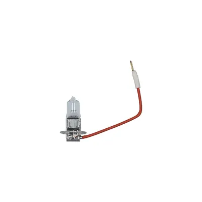 Carpoint Lampe de Voiture H3 12v 55w 2