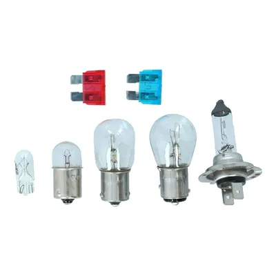 Carpoint Autolampr10w Ba15s 2st 4