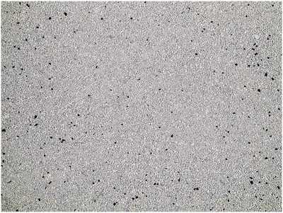Cat Litter Bentonite Maximum Odour Control 12 kg 3