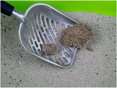 Cat Litter Bentonite Maximum Odour Control 12 kg 4