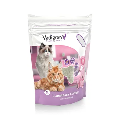 Litière pour Chat en Poudre pour Bébé 6 kg