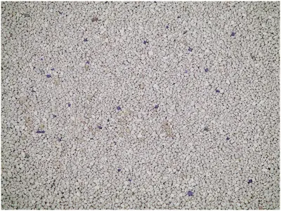 Cat Litter White Coarse 10 kg 3