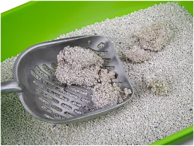Cat Litter White Coarse 10 kg 4