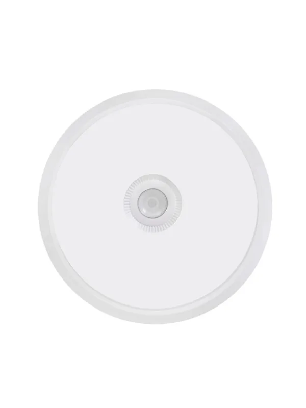 Cramer Cct 20w Sensorlamp 1