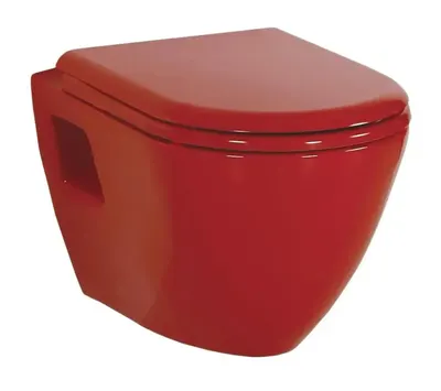 Creavit Amasra Wc-Zitting Rood Softclose Inox Scharnieren 2