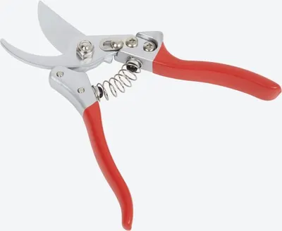 Dirt Tools Snoeischaar 10 mm Soft 1