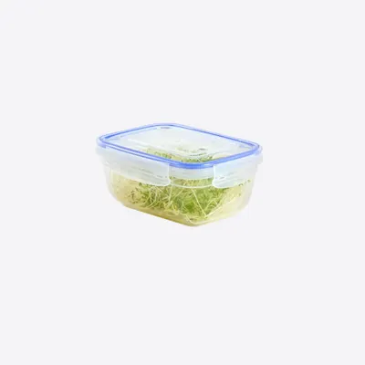 Dunya Drum with Lid 800 ml
