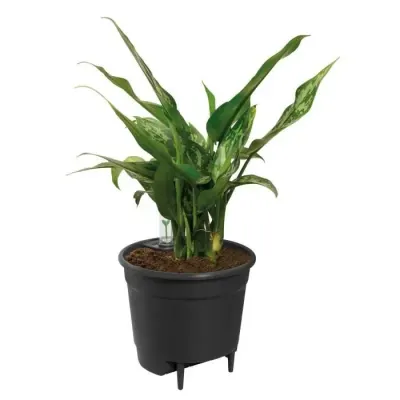 Pot de Fleurs Eda Toscane Diam 25 Taupe 5