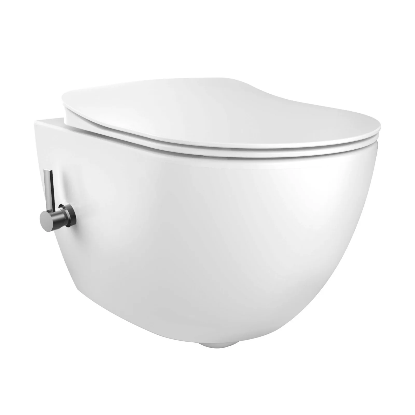 Hang Toilet Design Rimoff + Sprayer and Tap 1