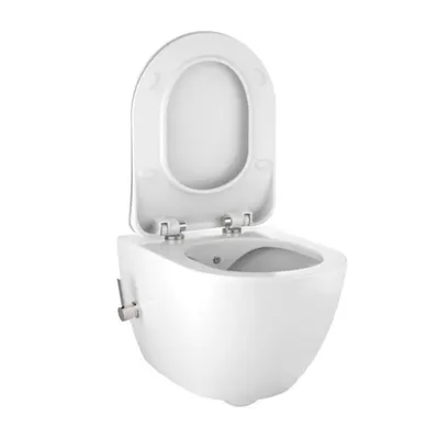 Hang Toilet Design Rimoff + Sprayer and Tap 2