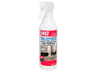 Hg All-Cleaning Interior Spray 500 ml