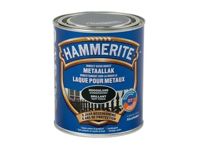 High-Gloss Lacquer-3/4l-Dgreen