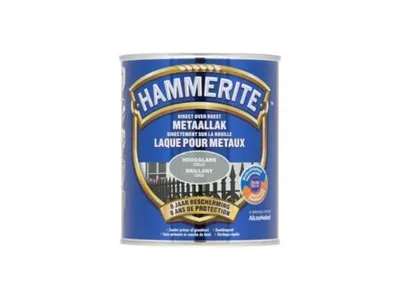 High-Gloss Paint-3/4l-Grey