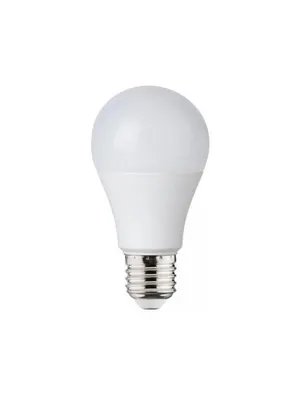 Horoz Led Expert 10w Dimbaar 6400k 1