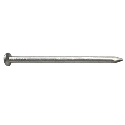 Iron Nails, Flat Head 1.5 X 25 mm