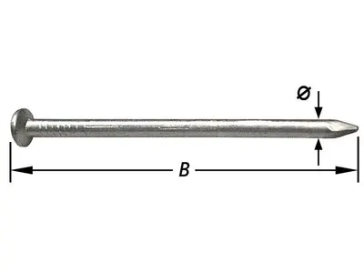 Iron Nails, Flat Head 3 X 60 mm