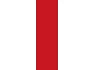 Joyfix 45 cm 2 m Laqué Rouge