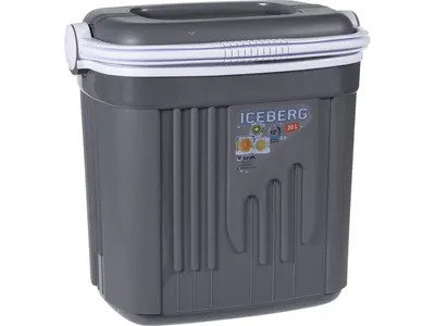 Cool Box Iceberg Gray 20 l
