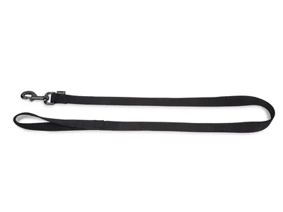 Laisse Nylon Classique 20mmx120cm l