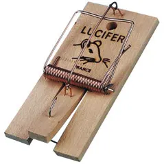 Lucifer Muizenval Groot 2