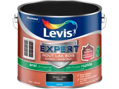 Lv Expert Lacquer Water 2.5 l Black 6900 Satin