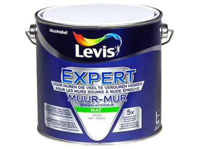 Lv Expert Wall 2.5 l 0001 White