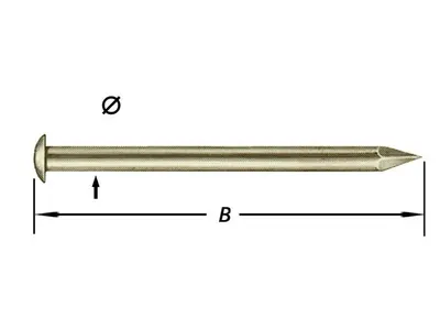 Brass Nails, Round Head 1.5 X 20 mm