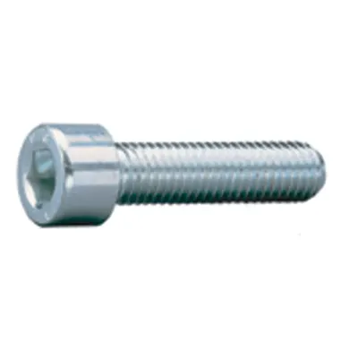 Metal Bolt, Cylinder Head, Hexagon Socket. M6