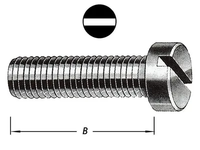 Metal Bolts Cyl. Head with Nut M6 X 30 mm