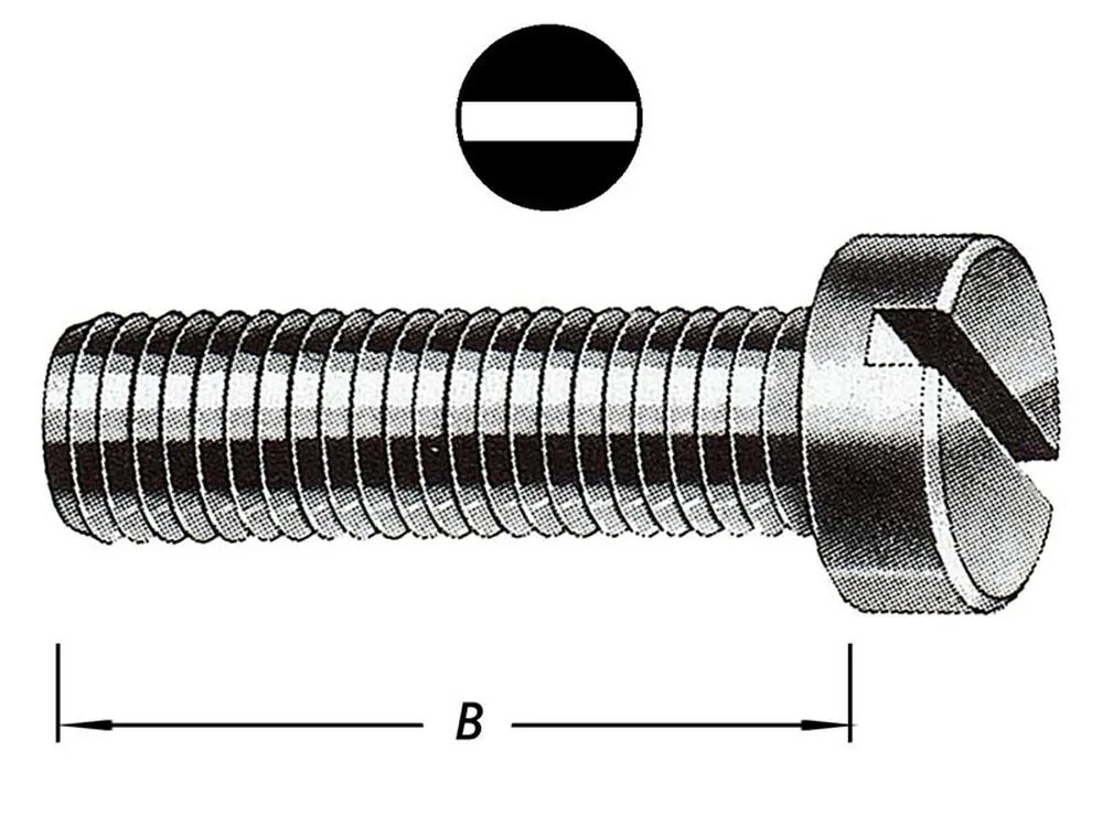 Metaalbouten, Cil.kop, Rvs M5 X 20 mm