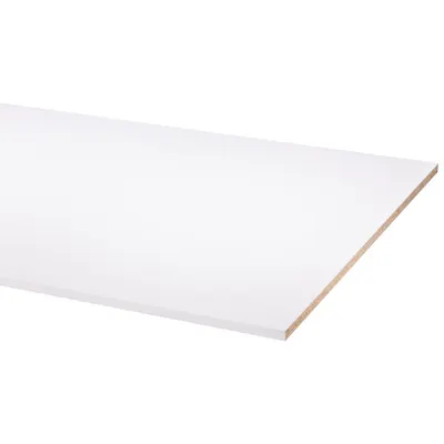 Meubelpaneel W 250x80x1,8