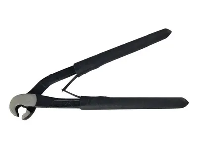 Papegaai Tang