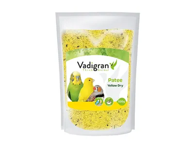 Patee Droog Geel 500 g 1