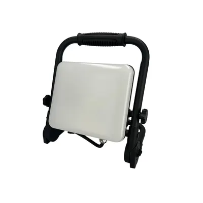 Pegasus Led Werklamp 50w 6400k 2