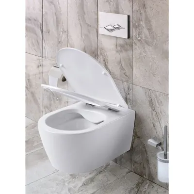 Promo Rimoff Hang Wc + Wc Bril 2