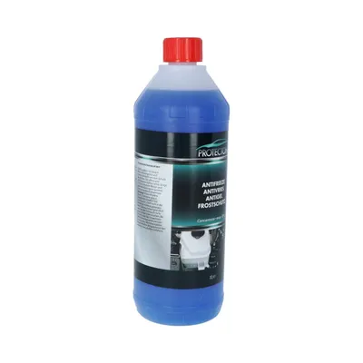 Concentré Antigel Protecton 1 l 3