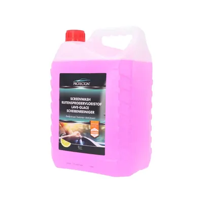 Protecton Screen Wash 5 l 5