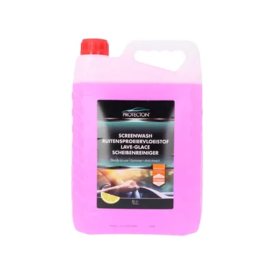 Protecton Screen Wash 5 l