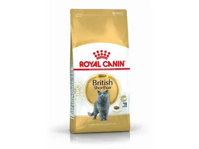 Rc British Shorthair 400 g